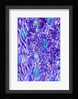 Snake Skin II Framed Print