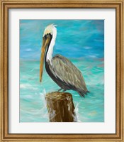 Single Pelican on Post Fine Art Print