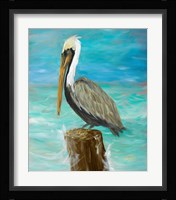 Single Pelican on Post Fine Art Print