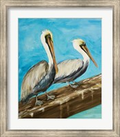 Two Pelicans on Dock Rail Fine Art Print