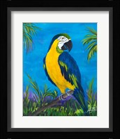 Island Birds II Fine Art Print