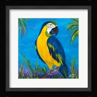 Island Birds Square II Fine Art Print