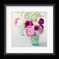 Pink Ranunculus Fine Art Print