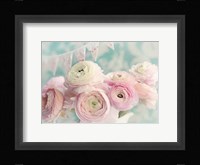 Ranunculus Party Fine Art Print