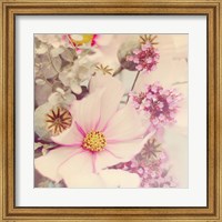 Pink Blossoms II Fine Art Print