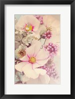 Pink Blossoms II Framed Print