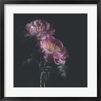 Dark Florals Fine Art Print