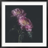 Dark Florals Fine Art Print