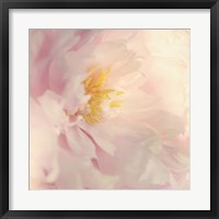 Bloom Fine Art Print