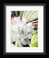 Watercolor Green Succulent Fine Art Print