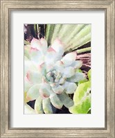 Watercolor Green Succulent Fine Art Print