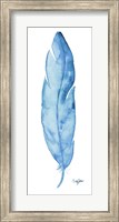 Blue Feather Fine Art Print