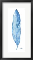 Blue Feather Framed Print