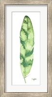 Green Feather Fine Art Print