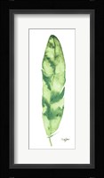 Green Feather Fine Art Print