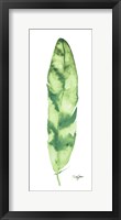 Green Feather Fine Art Print