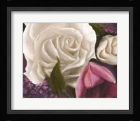 Among the White Roses Fine Art Print