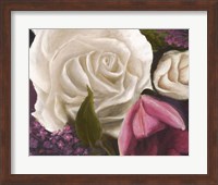 Among the White Roses Fine Art Print