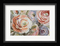 Orange & Violet Ranunculus Fine Art Print