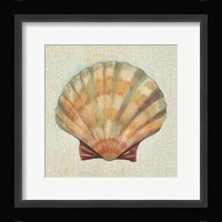 Coastal Treasures I Fine Art Print