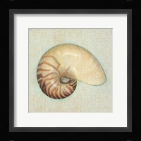 Coastal Treasures III Fine Art Print