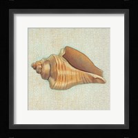 Coastal Treasures II Fine Art Print