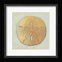 Coastal Treasures IV Fine Art Print