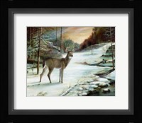 In All It's Glory Fine Art Print