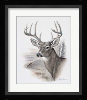 Fall Splendor Fine Art Print