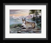 Sentinel Fine Art Print