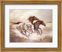 Wild Horses I Fine Art Print