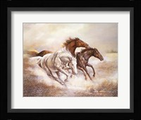 Wild Horses I Fine Art Print