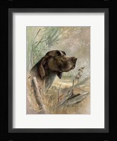 Beauty on Point Fine Art Print