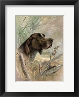 Beauty on Point Fine Art Print