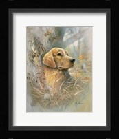 Golden Beauty Fine Art Print