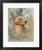 Golden Beauty Fine Art Print