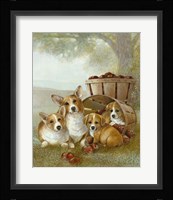 Apple Dumpling Fine Art Print