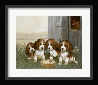 First Peep Fine Art Print