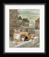 Tea Rose Playtime Fine Art Print