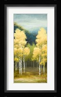 Birchwood II Framed Print