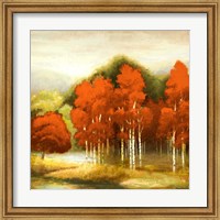 Autumn Birchwood I Fine Art Print