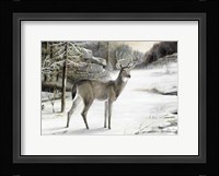 Snowy Mornings Fine Art Print