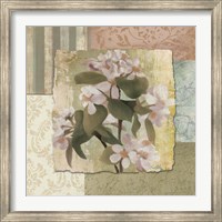 Botanical Blossom Fine Art Print