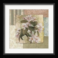 Botanical Blossom Framed Print