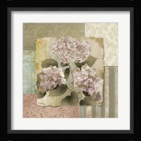 Botanical Hydrangeas Framed Print