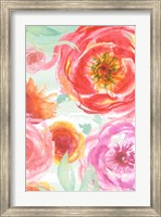 Colorful Roses I Fine Art Print