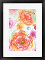 Colorful Roses II Framed Print