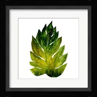 Green Leaves Square I Fine Art Print