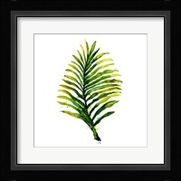 Green Leaves Square II Fine Art Print