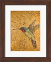 Golden Hummingbird II Fine Art Print